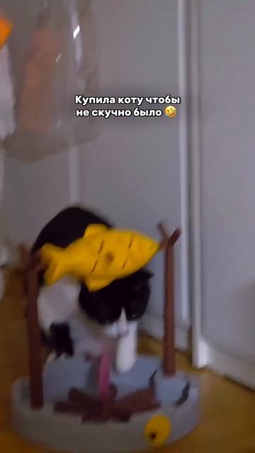 Чем бы кот не тешился.....