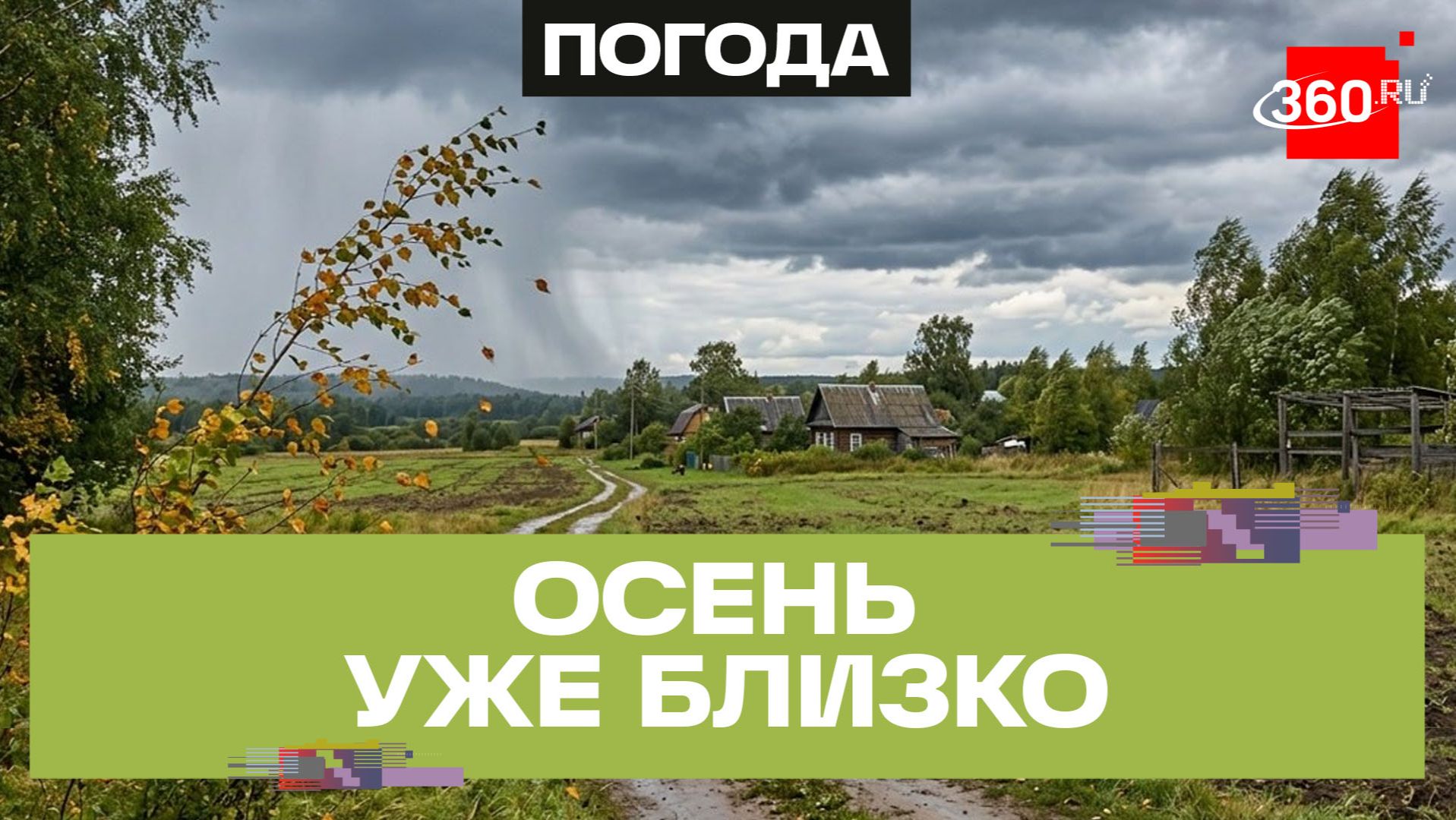 Холодно и дождливо? Какой будет погода на последней неделе лета в Подмосковье?