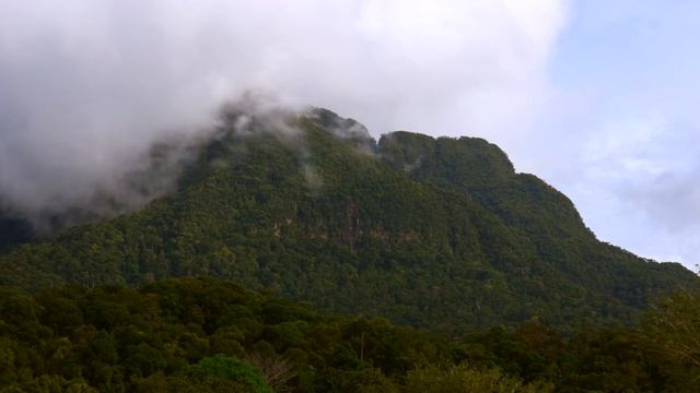 Permai Rainforest Resort