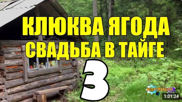 ДВА БРАТА В ТАЙГЕ  ОТШЕЛЬНИК  ИЗБУШКА В ЛЕСУ  ПОХОД ЗА БРАТОМ  СУДЬБА ЧЕЛОВЕКА 3