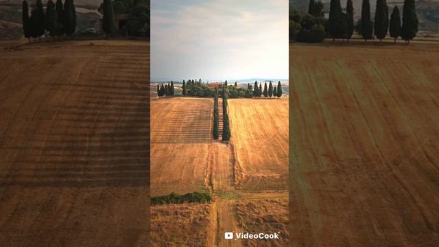 Интерес и BRUSHKA 
