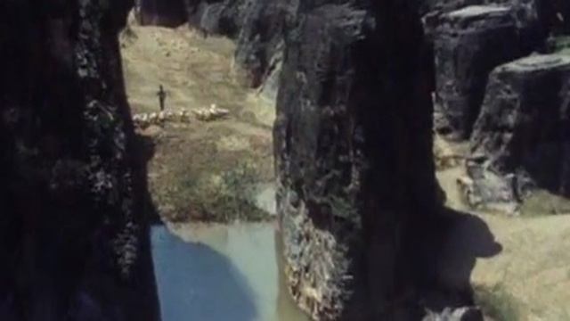 Из фильма 80 х про Шаолинь
