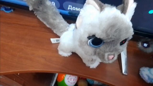 Furreal - (1 серия) - Кто проспал, тот выиграл