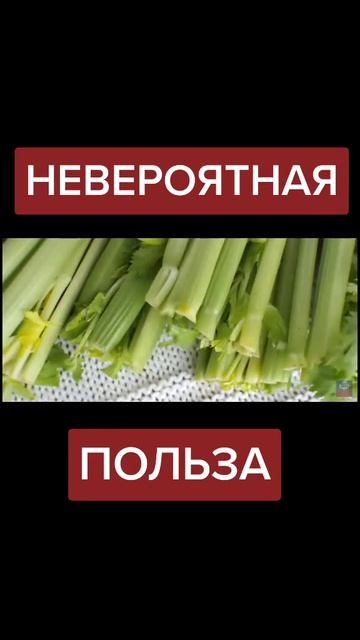 24-08-2026
