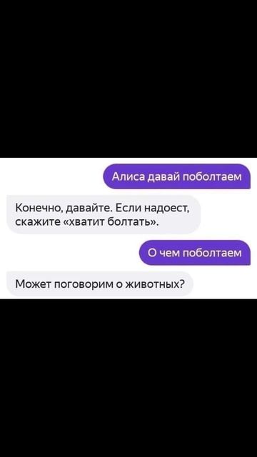 Разговор с Алисой
