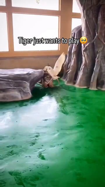 VID_20260824_022034_110.mp4