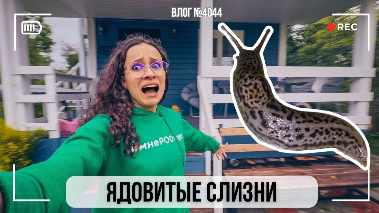 Эти слизни добрались и до нас!! - ВЛОГ №4044  - 24.08.26