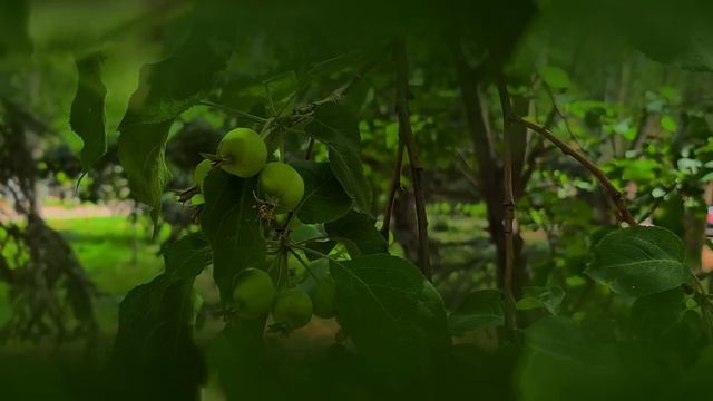 Муж превратил жену в прислугу для своей матери. Но один найденный документ изменил всё