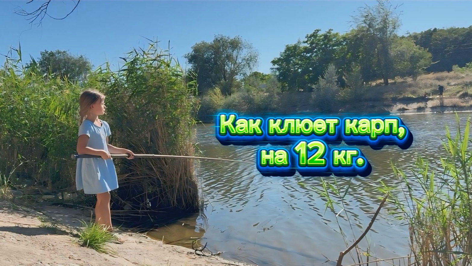 Как клюет карп на 12 кг. ?! Кто видел ?