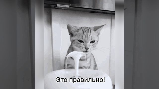 вы ЗНАЛИ ...