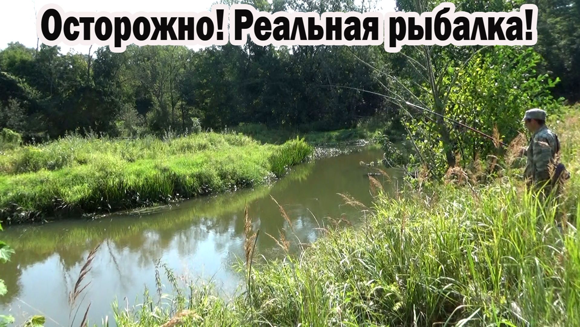 Попр поймать хор улов на малой реке на удочку плотвы и ельца летом