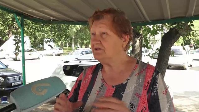 (21.08.2026) Дачники Комсомольска в этом году собрали поистине рекордный урожай помидоров