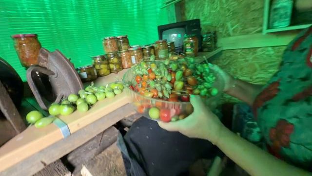 В гостях у Любы Да. Опада тут нет 😊. Набрала опад на дороге. Кто ищет тот всегда найдёт.