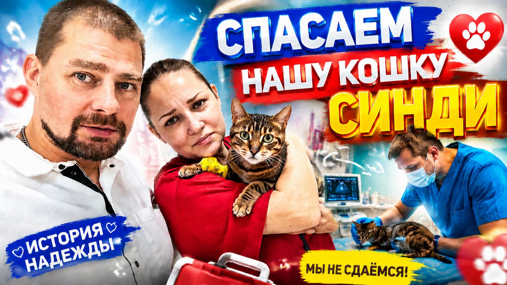 Влог ! Спасаем нашу кошку Синди !