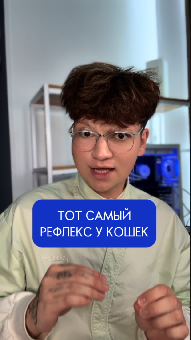 ТОТ САМЫЙ РЕФЛЕКС У КОШЕК