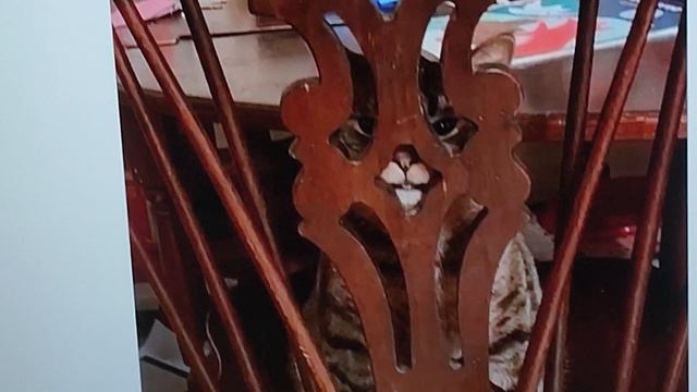 ПЕРЕРАЗЛИВ с канале Алексей 🦉