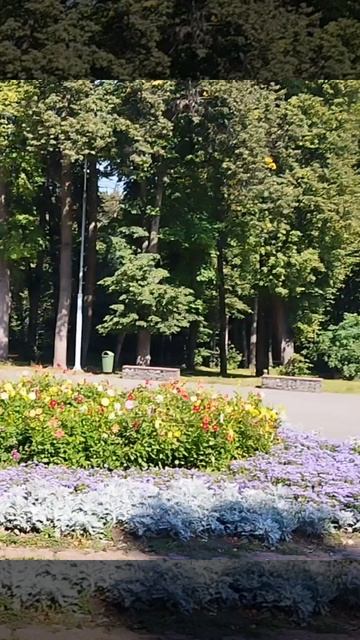 в парке