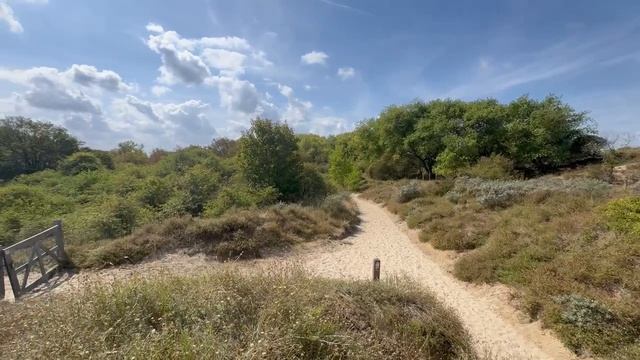 De Panne Belgium пляж Же Панне Бельгия 2026 август