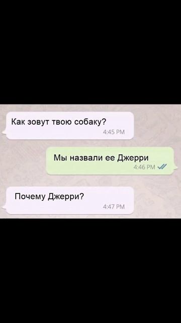 Приколы в переписках Собака Джерри
