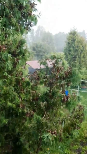 Переменчивая летняя погода в Подмосковье