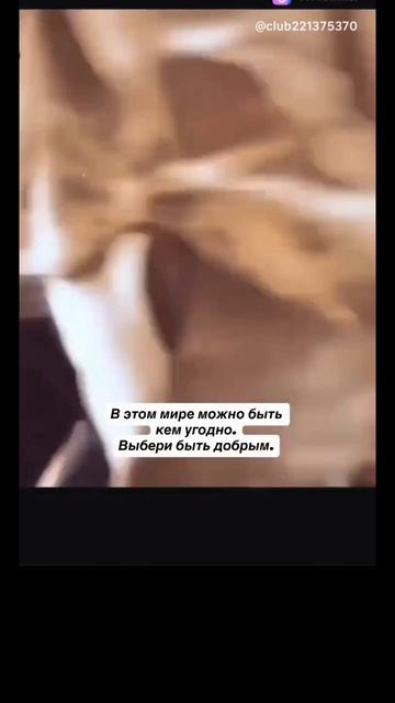 Доброта спасёт мир.  Пёсель в этом уверен.