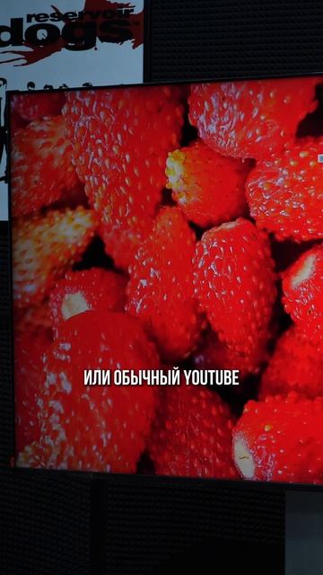 Samsung 65QN80H: как работает HDR и обработка изображения