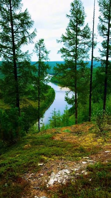 Релакс…🌿