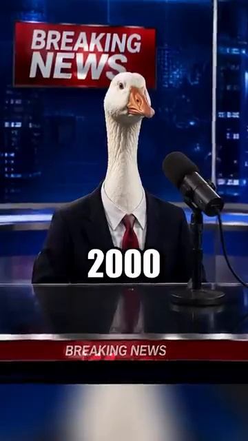 24-08-2026