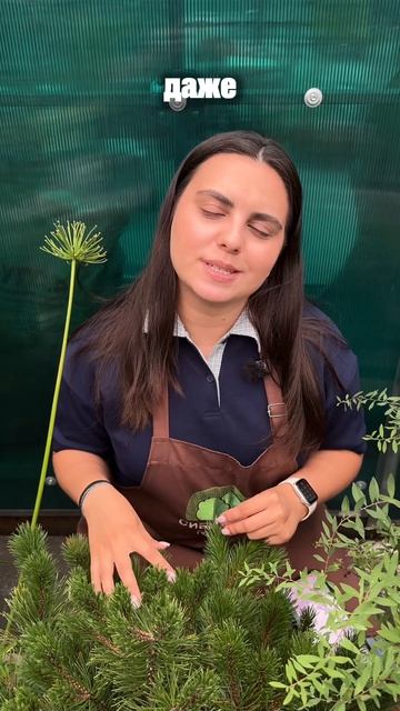 А вы любите ухаживать?🌸