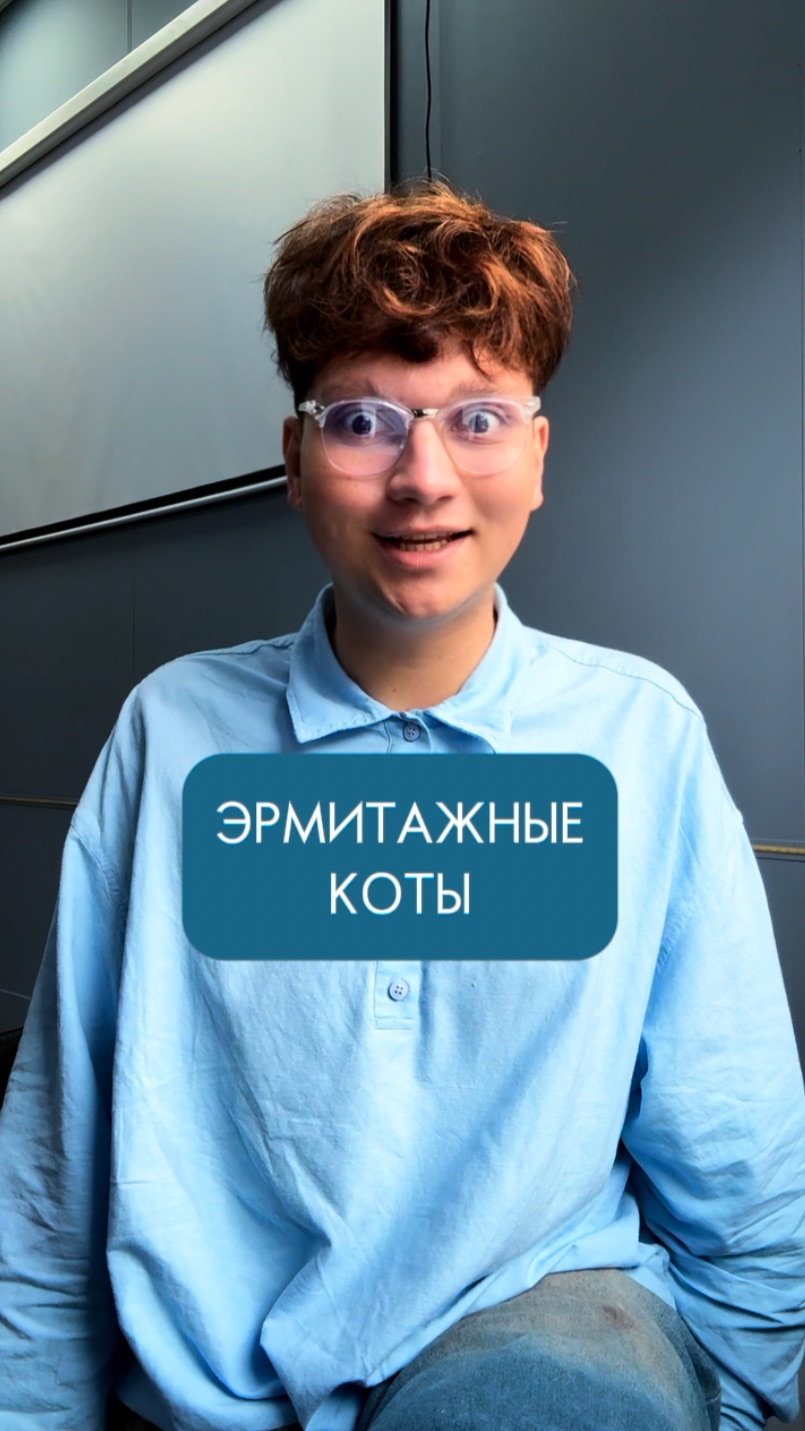 ЭРМИТАЖНЫЕ КОТЫ