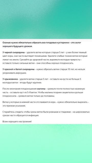 Осенняя стрижка кустарников