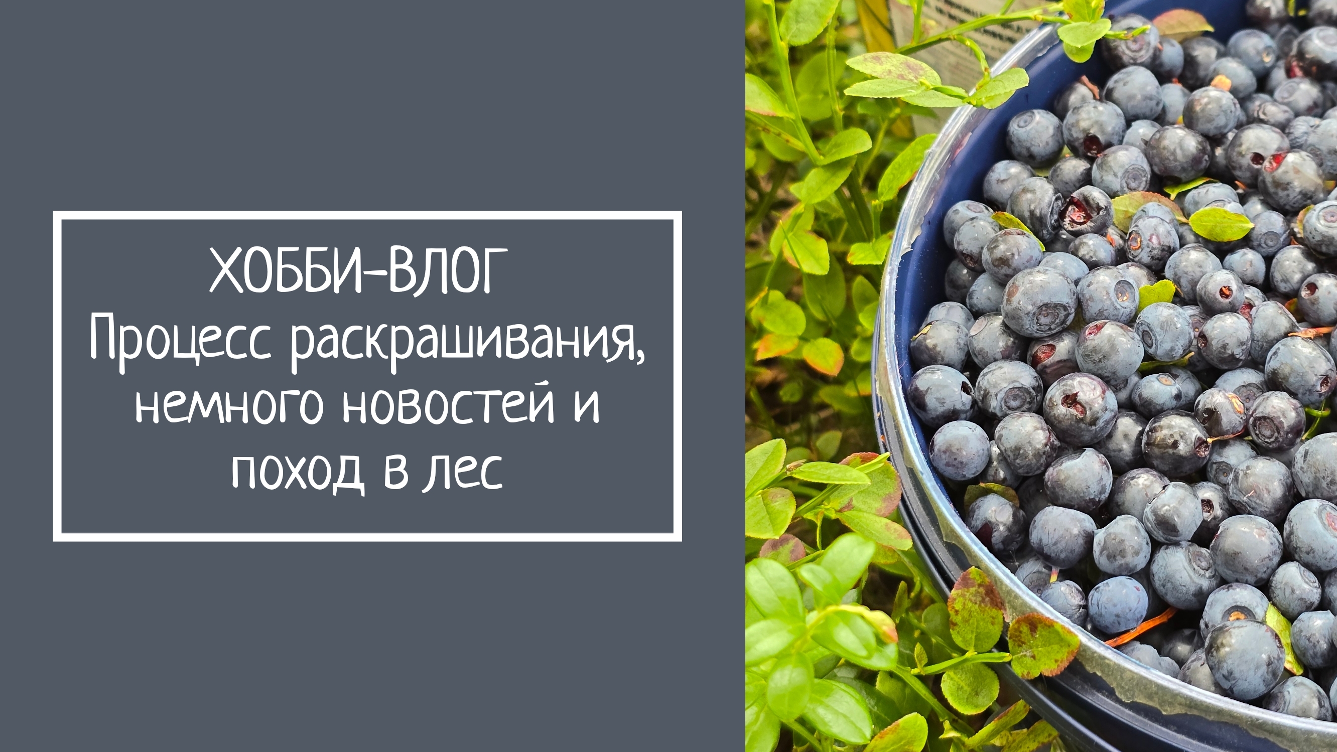 ХОББИ-ВЛОГ.  Процесс раскрашивания немного новостей и поход в лес