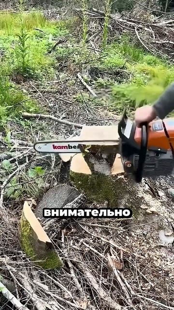 Он превратил обычный пень в нечто невероятное 😱 Результат удивляет
