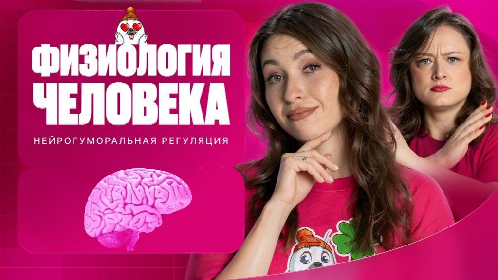 Физиология человека. Нейро-гуморальная регуляция |  ЕГЭ-2026 с Биологическим Тюленем | Stepenin.ru