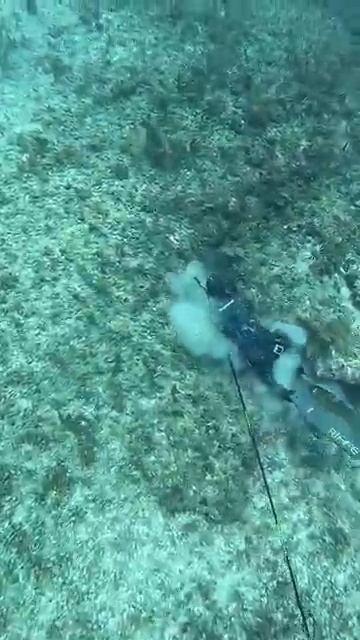 В глубинной подводной охоте всё не просто
