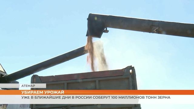 Уже в ближайшие дни в России соберут 100 миллионов тонн зерна