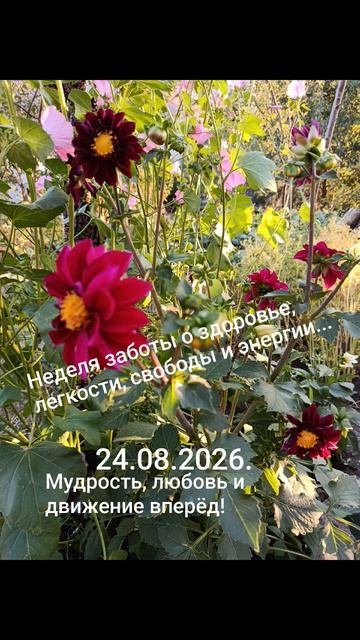 Девизы дня, недели, месяца, лета!✨🌈☀️Условия для достижения целей...#мысли #слова #чувства #душа