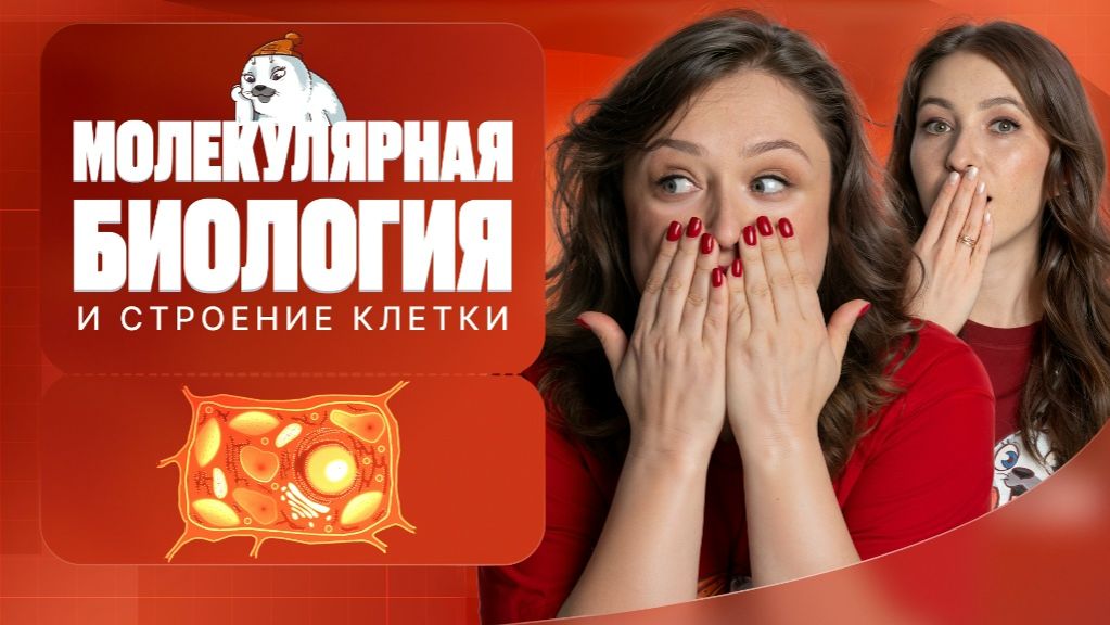 Молекулярная биология и строение клетки | ЕГЭ-2026 с Биологическим Тюленем | Stepenin.ru