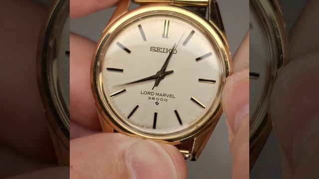 Seiko Lordmarvel