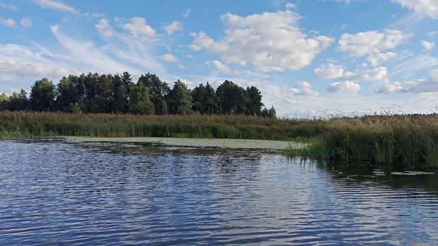 Красивые реки Подмосковья!