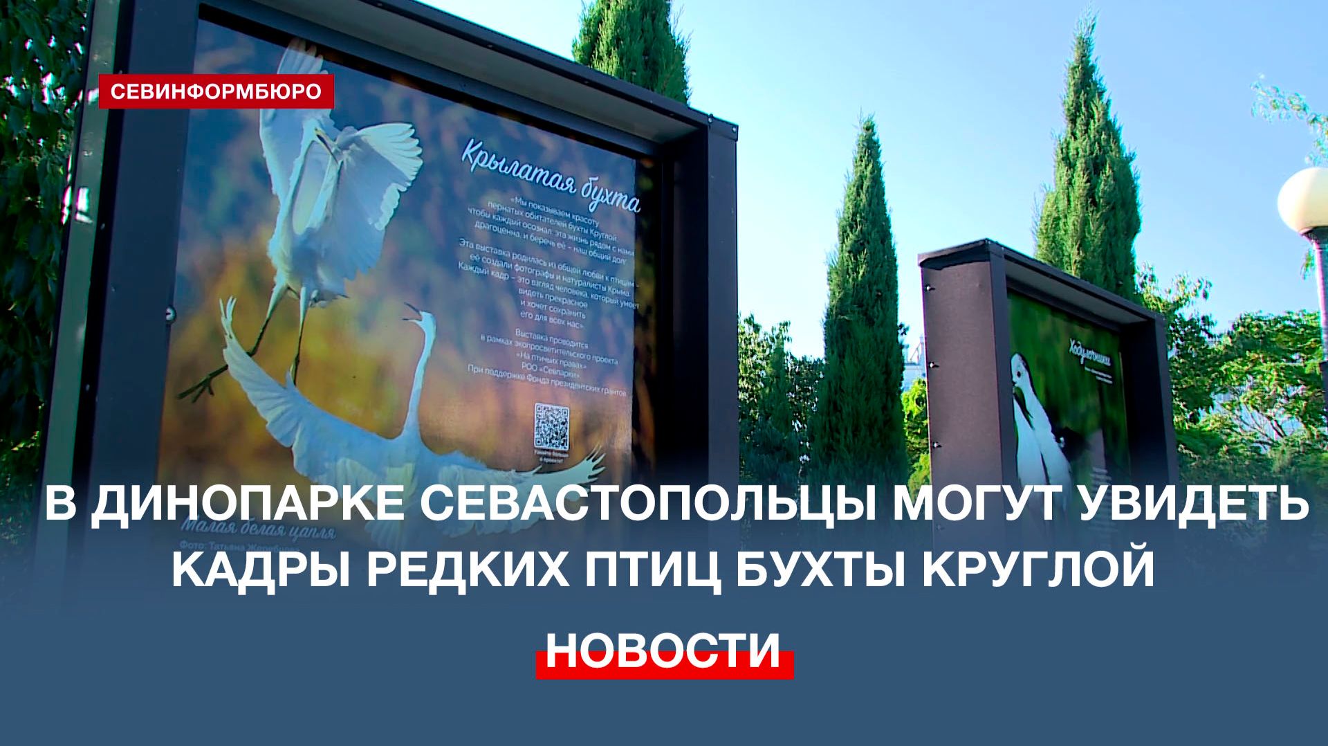 В Севастополе открылась фотовыставка, посвящённая редким видам птиц бухты Круглой