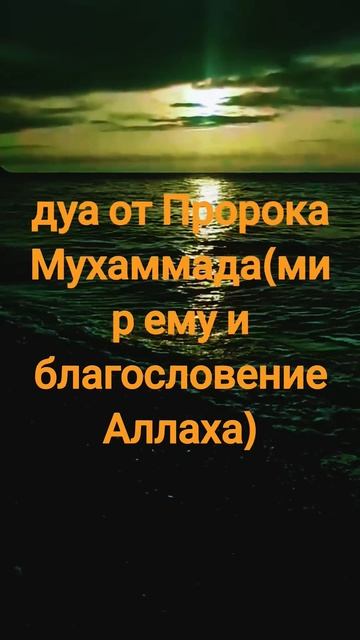 #Дуа от Пророка Мухаммада(мир ему и благословение Аллаха) #напоминание #субханаллах #👤 Shahmar