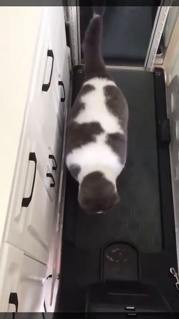 Коротко обо мне и занятиях спортом