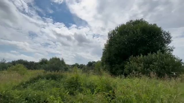 д. Трофимово, ул. Дачная