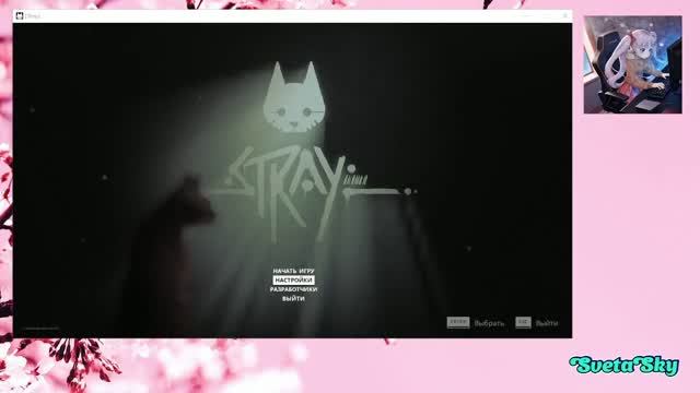 Stray