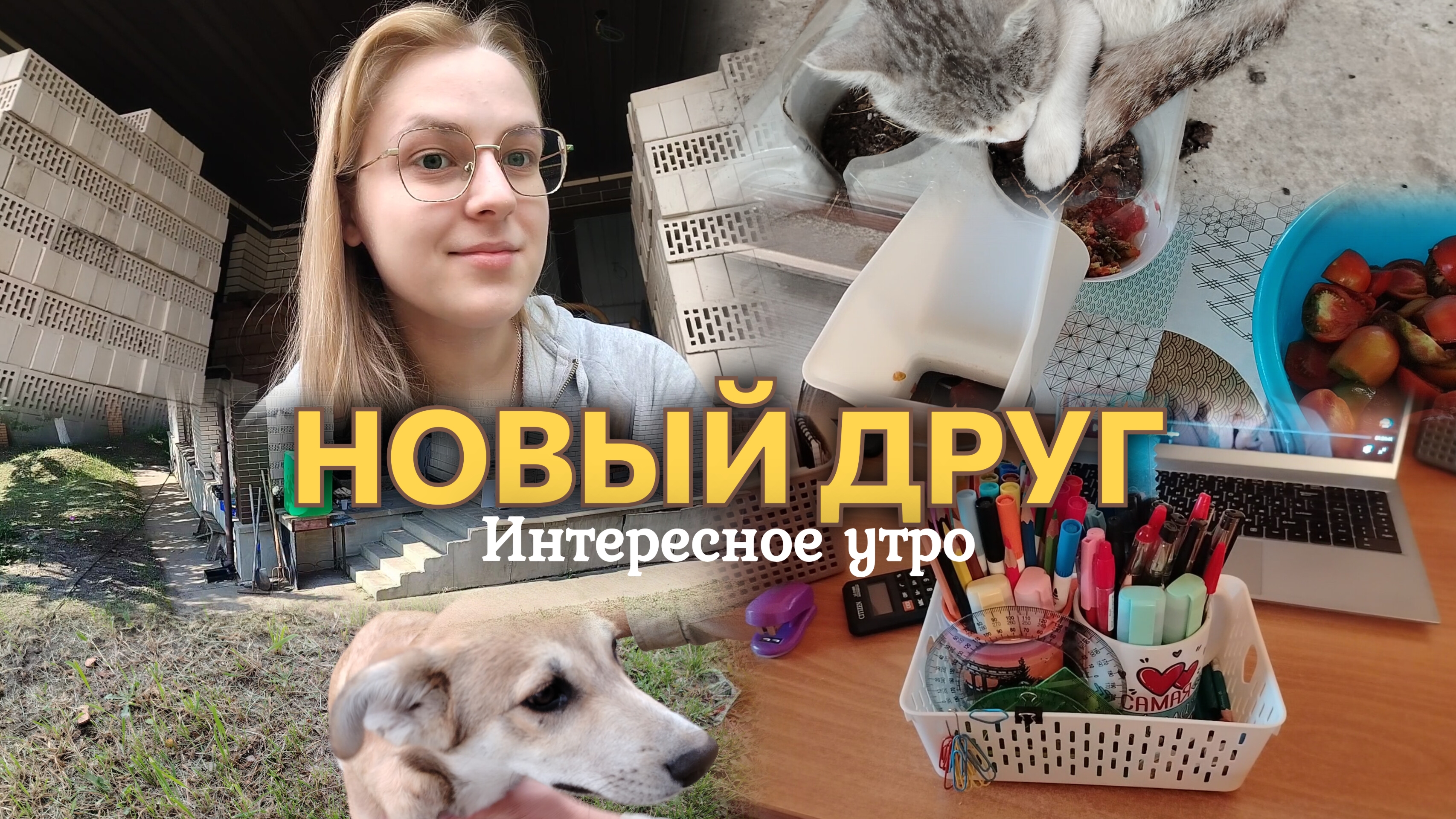 ВЛОГ ИНТЕРЕСНОЕ УТРО☀️ Уборка на столе🧹