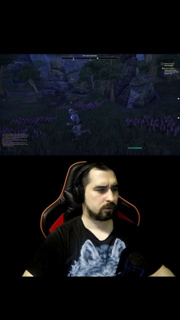 Когда на 60 секунд залетел в The Elder Scrolls Online