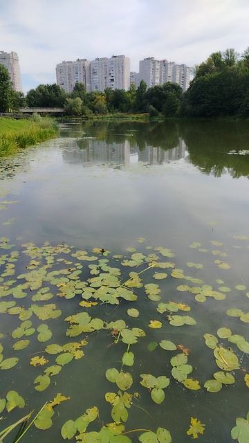 🏞️🏞️🏞️