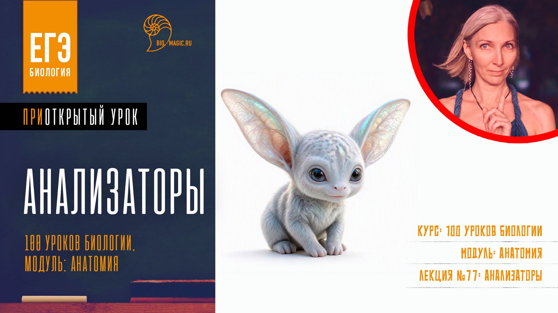Лекции и уроки
