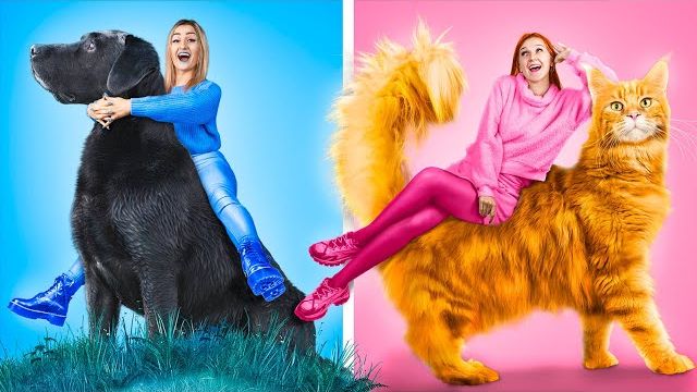Цветной челлендж с домашними животными. Покупаем вещи и едим еду одного цвета 24 часа!